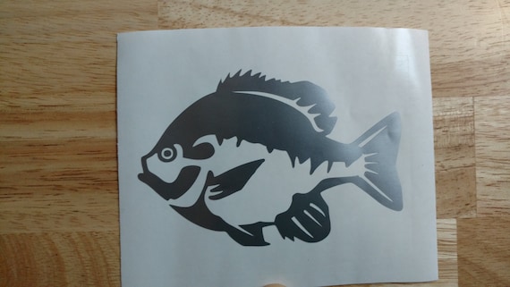 Bluegill Vinyl Fishing Decal Sticker Boat Decal Tournament Fishing