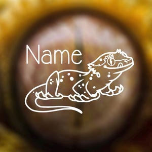 Crested Gecko Custom Name Decal