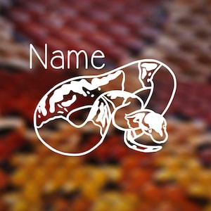 Puede incluir: Un dibujo de línea blanca de una serpiente con marcas blancas y negras sobre un fondo borroso de rojo, naranja y amarillo.