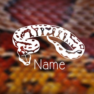 Könnte beinhalten: Weiße Silhouette einer Schlange mit schwarzen Markierungen, die sich zu einem Kreis auf einem verschwommenen Hintergrund aus Orange, Rot und Gelb zusammenrollt. Das Wort "Name" steht unter der Schlange.