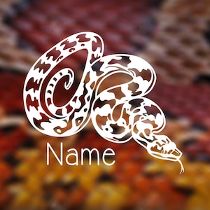 以下が含まれることがあります： 黒の模様のある白いヘビのシルエットが円形に丸まっている。ヘビは赤、オレンジ、黄色のぼやけた背景の上にいる。ヘビの下に「名前」という文字が書かれている。