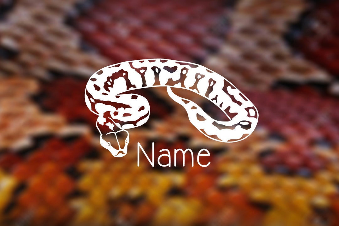Boa Lettering Name Red Tail Boa Customizable Name Decal - Etsy