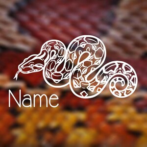 May include: A white line drawing of a snake with the word "Name" beneath it. The snake is depicted in a coiled pose with detailed patterns. The background is a blurred blend of red, orange, and brown.
