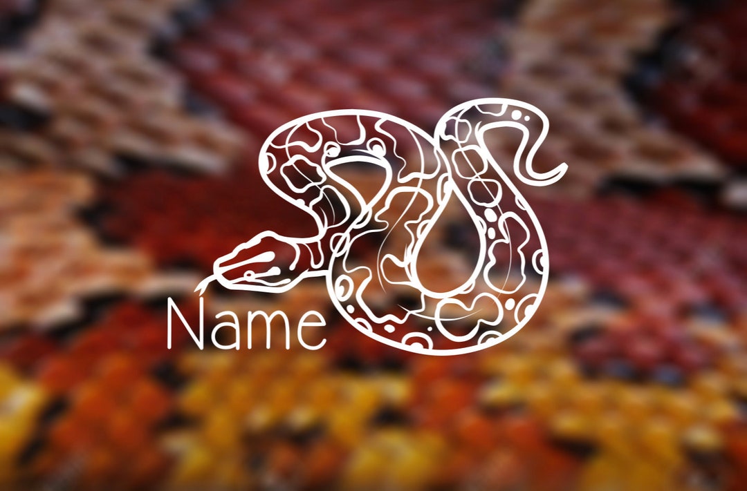 Boa Lettering Name Brazilian Rainbow Boa Custom Name Decal - Etsy