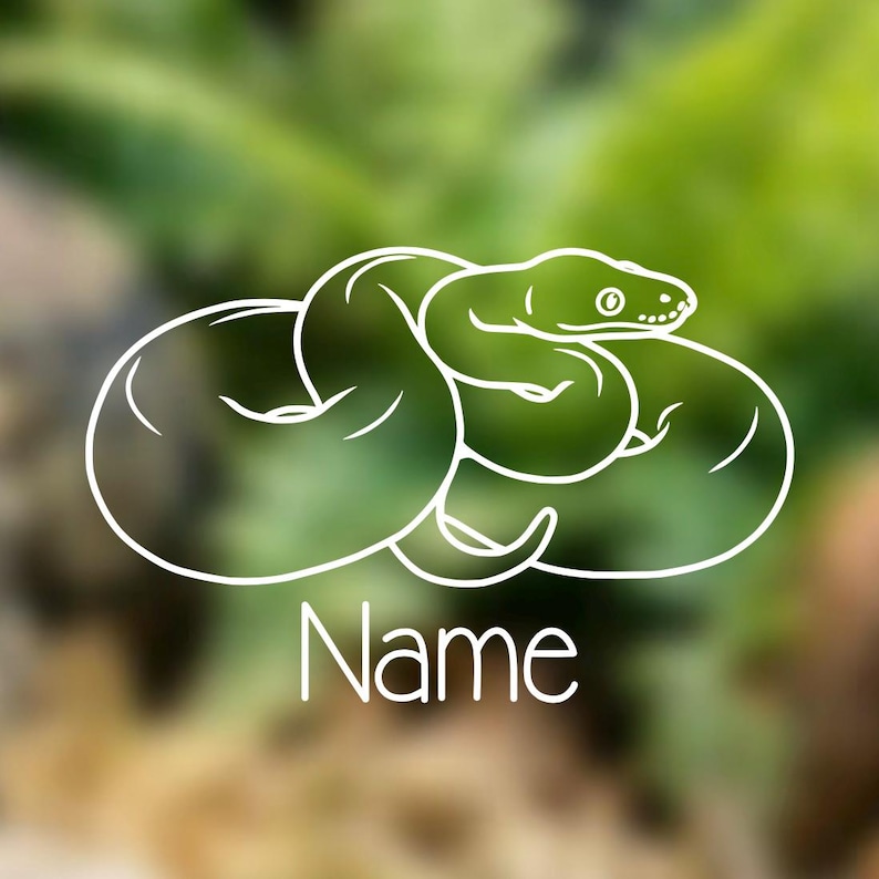 May include: A white line drawing of a snake coiled up, with the word "Name" beneath it. The snake has a detailed head and a curled body. The background is a blurred green and brown.