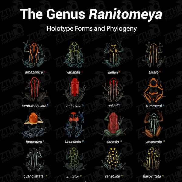 The Genus Ranitomeya