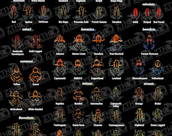 Ranitomeya in Captivity V3