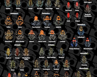 Affiche de Ranitomeya