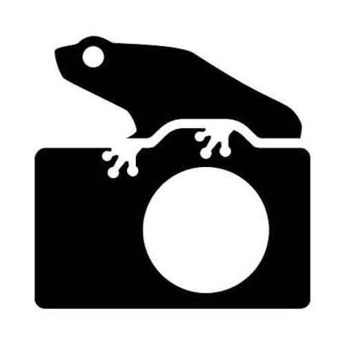 アメリカドクトカゲ - Etsy 日本