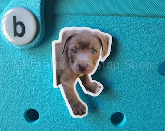Personalized Pet Charm – Custom Photo Bag Accessory