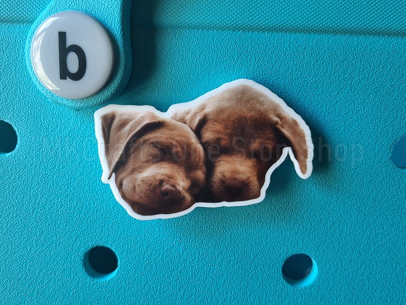 May include: Close-up of a sticker featuring two brown puppies sleeping on a blue background.
