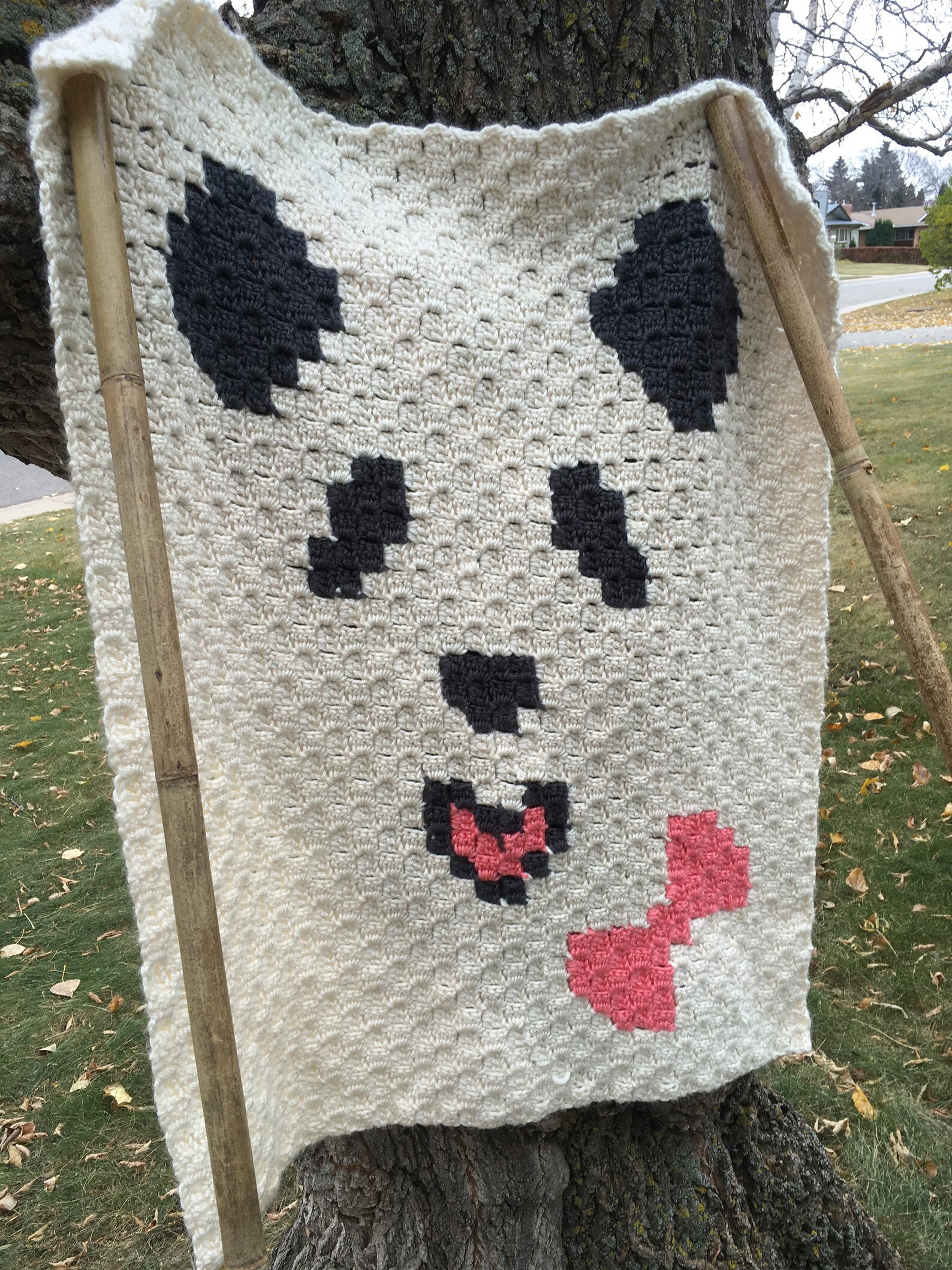 Panda Blanket C2C Crochet Pattern Etsy