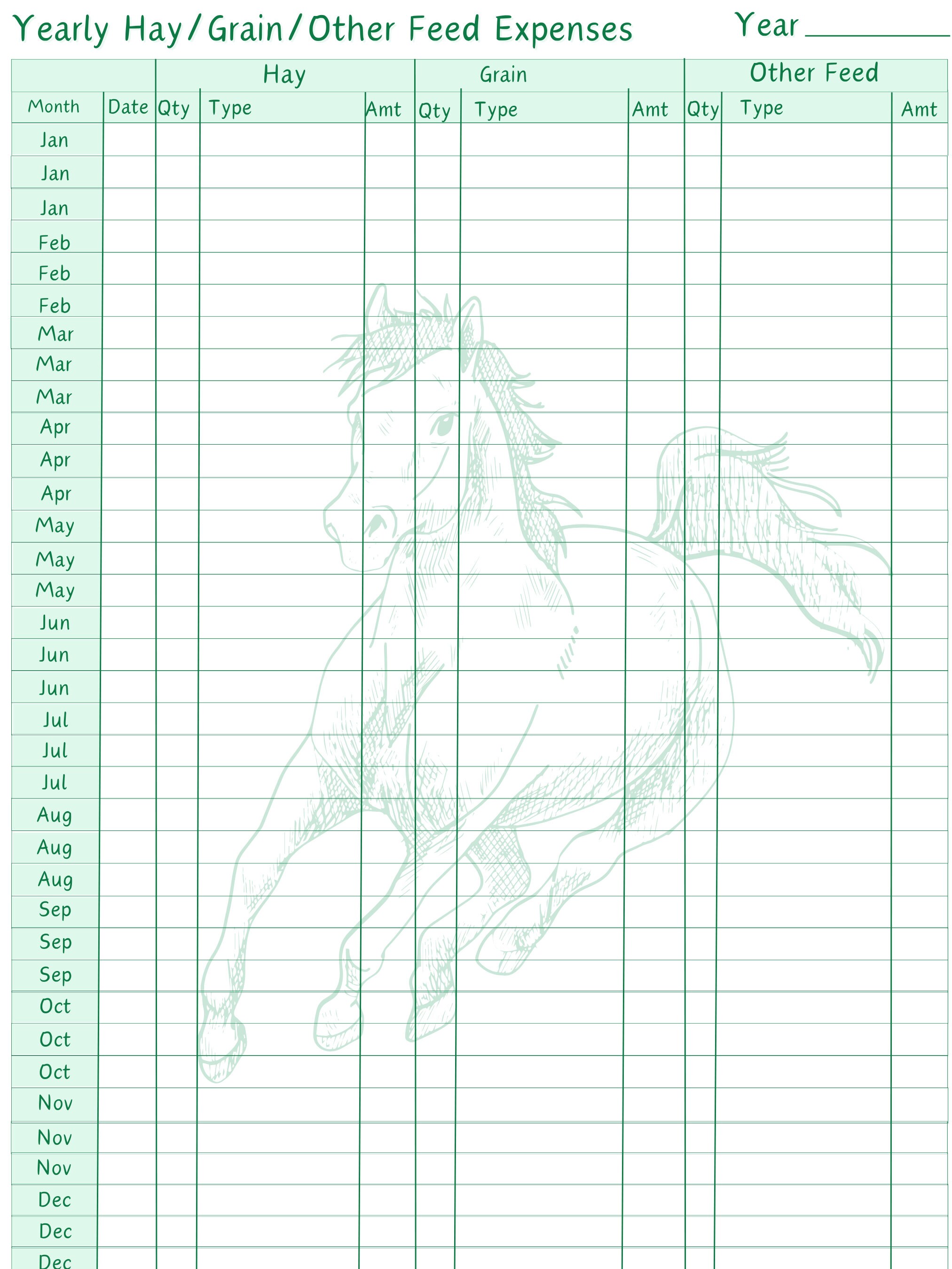 Yearly Horse Maintenance Schedule & Expense Tracker 9page Bundle Fun Colors Digital Printable