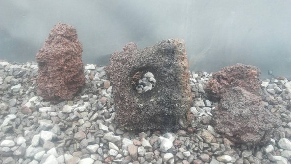 sculpted lava stone fish