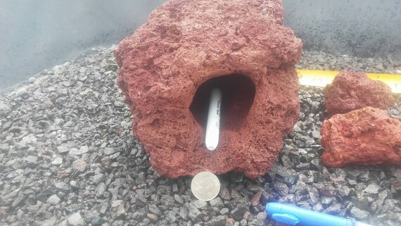 large fish cave condo