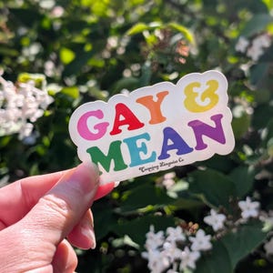 Może przedstawiać: Naklejka z napisem "GAY & MEAN" w tęczowych kolorach. Naklejka ma białą obwódkę i napis "Cunning Linguist Co" na dole. Tło to rozmyte zielone liście i białe kwiaty.