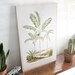 Vintage botanical illustration poster printed on wood - Palm trees - table Deco size A3 / A4