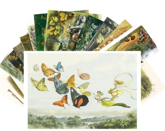 Postcards Set 24pcs * In Fairy Land by Richard Doyle vintage Kids Book Art CD3012