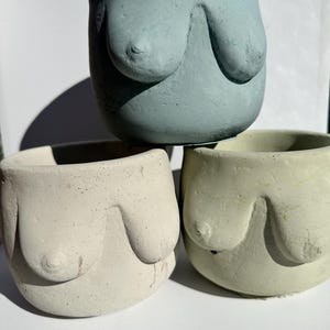 Boob planter, boobie pot, planter pot, woman body vase, boob job gift, indoor plant pot
