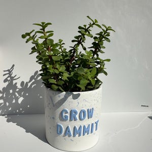 Może przedstawiać: Biała ceramiczna doniczka z niebieskimi plamkami i napisem "GROW DAMMIT" niebieskimi literami. W doniczce rośnie mała zielona roślina sukulentowa.