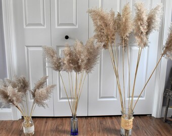 Tall Vase Filler Etsy