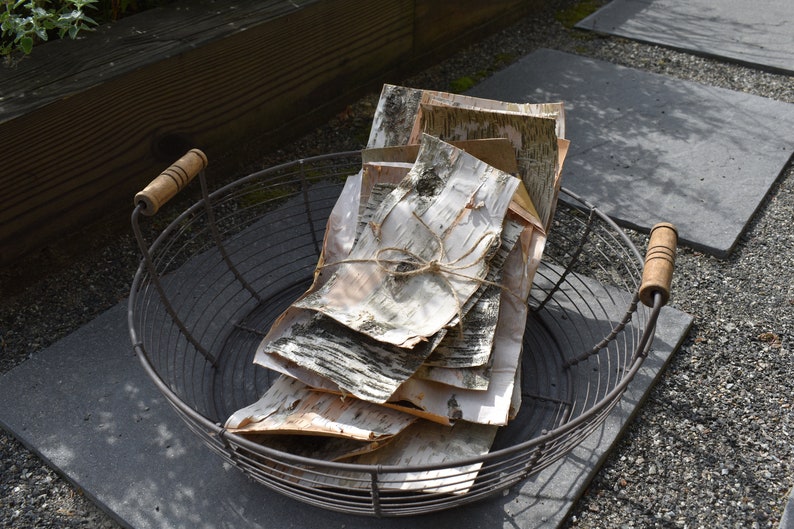 Birch Bark Sheets 10pcs Natural Crafting Birch Bark Clean Etsy