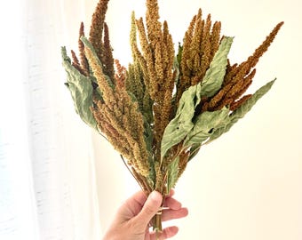 Ramo de amaranto seco en tonos otoñales, flores para bodas bohemias