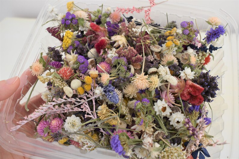 Flower Confetti Biodegradable Dried Flowers for Wedding Etsy