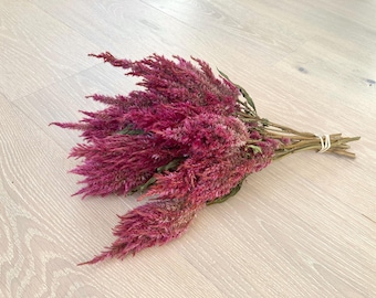 Celosia rosa oscura seca/ Celosia de domingo/ Flores secas rosas/ Orgánicas/ Flores secas para bodas/eventos/hogar y manualidades