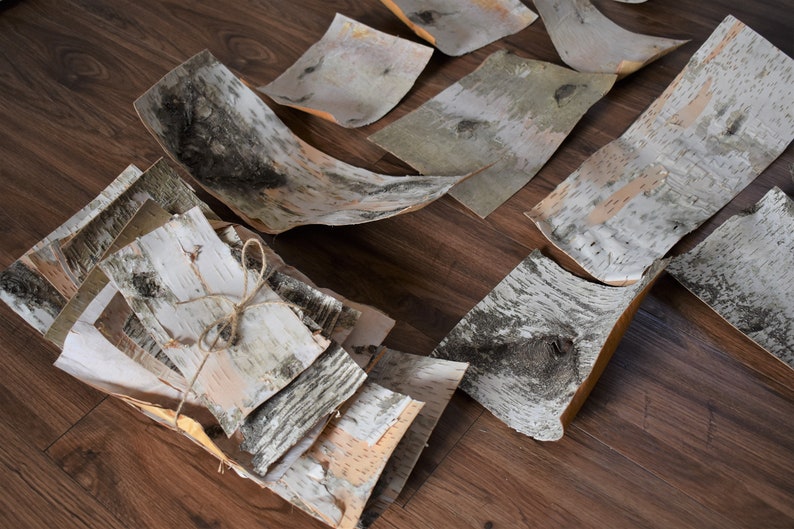 Birch Bark Sheets 10pcs Natural Crafting Birch Bark Clean Etsy