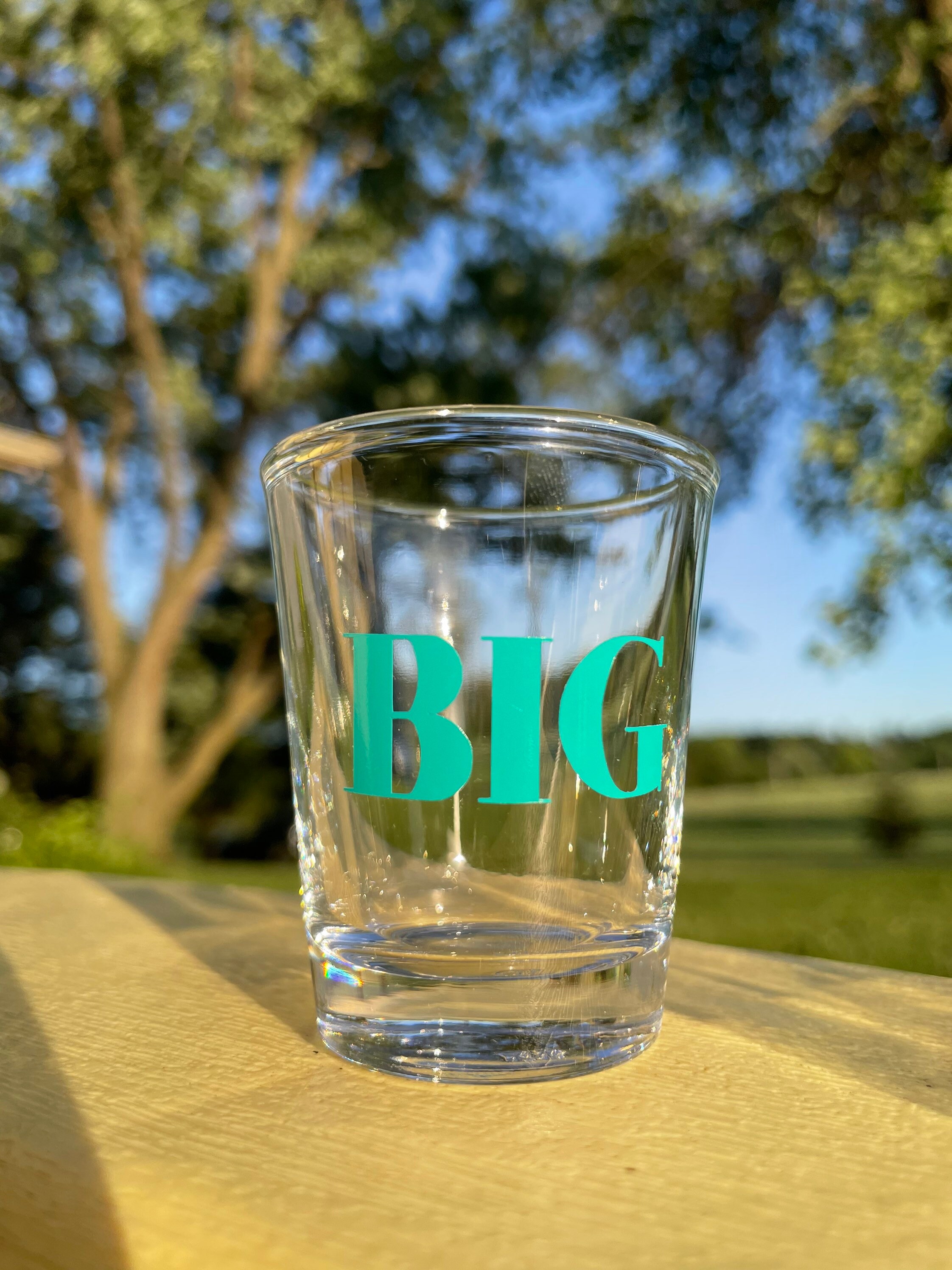 Big Little Shot Glass Big Little Reveal Sorority Gift Greek Life Etsy