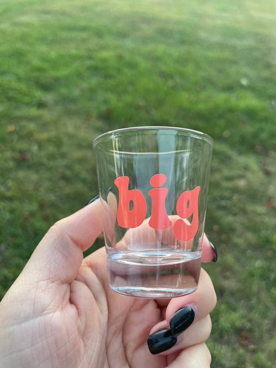 Groovy Big Little Shot Glass Big Little Reveal Sorority Etsy