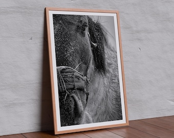 Pferd Monochrome Wand Kunst, Winter Pferd Druck, Rustikale Bauernhaus Dekor, Großtier Fotografie