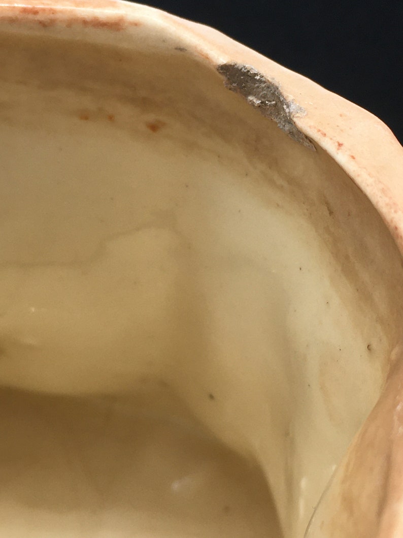 May include: Close-up of the inside of a ceramic planter, showing a small chip on the rim. The planter is a light beige color.