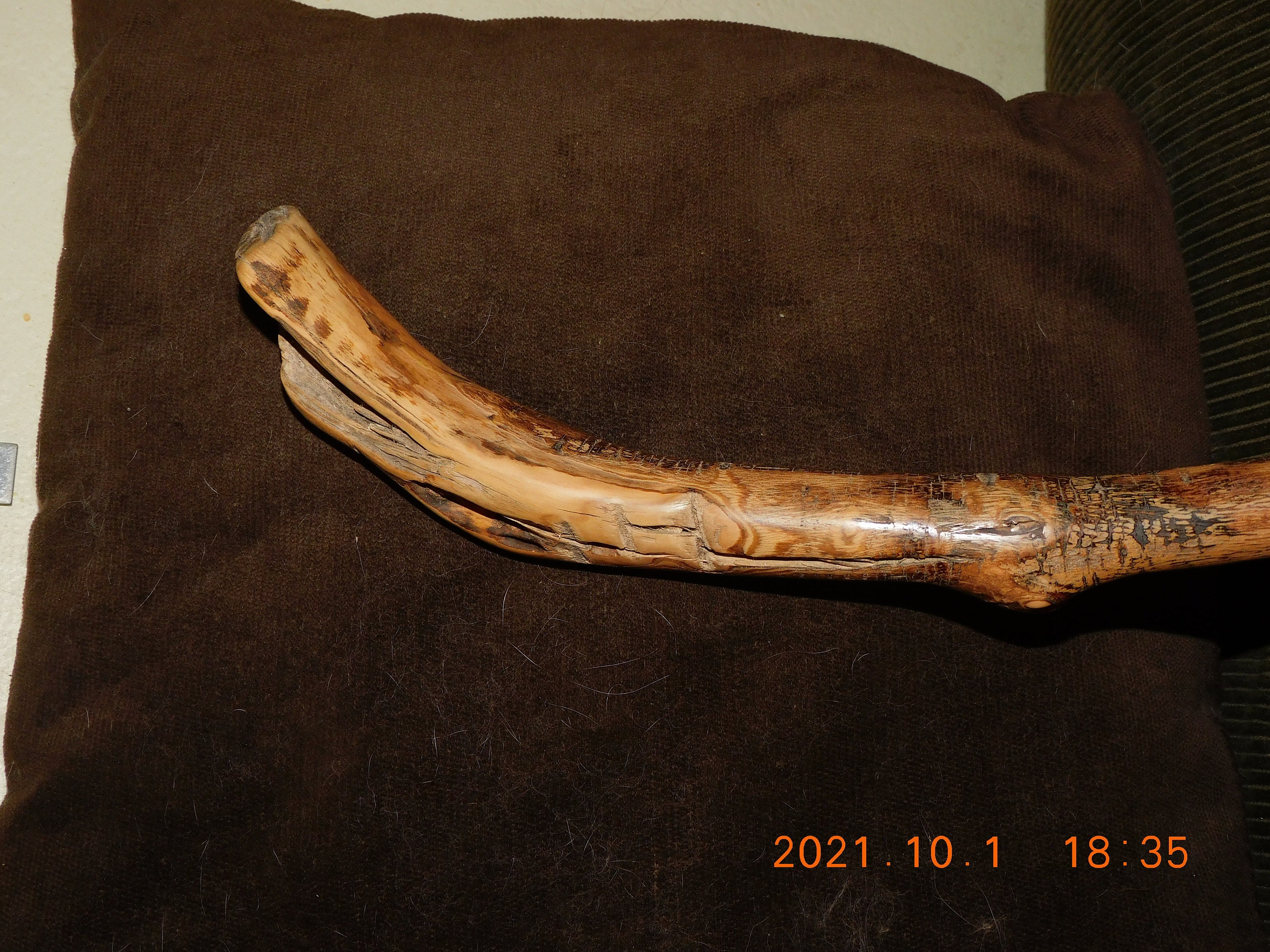 Curved Handle Walking Stick Etsy