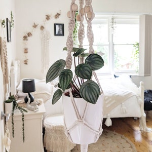 Pode incluir: Um vaso de cer&acirc;mica branco com uma planta verde pendurada em um suporte de macram&ecirc; para plantas com contas de madeira. A planta est&aacute; em um quarto com uma cama branca e paredes brancas.
