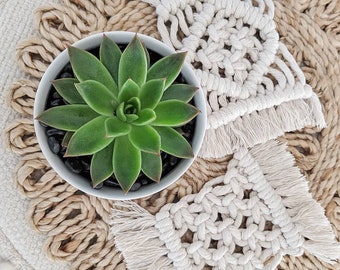 Macrame coasters / coasters / handmade coasters