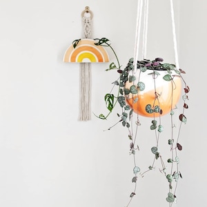 Macrame Plant Hanger - Skyla Macrame Rainbow Wall Planter and Skyla Macrame Hanging Planter