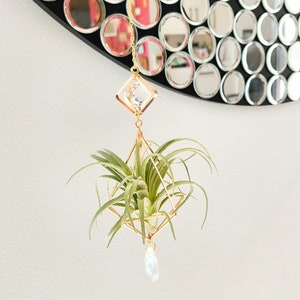 Wieszak na rośliny powietrzne Suncatcher, Złoty uchwyt na rośliny powietrzne, Kryształowy pryzmat Suncatcher, Wiszący na rośliny, Łapacz słońca na okna, Prezenty roślinne