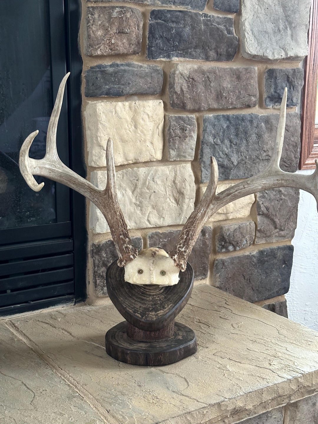 Deer Antler Mount Pedestal Made From Our Fallen Trees - Etsy