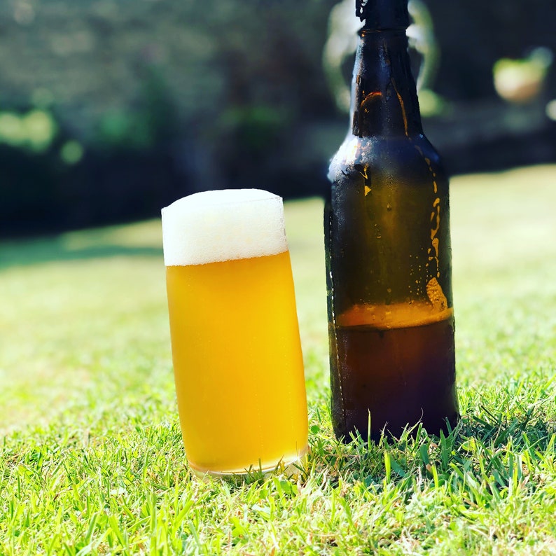 Pale Ale Craft Beer Home Brew Ingredient Kit Etsy UK