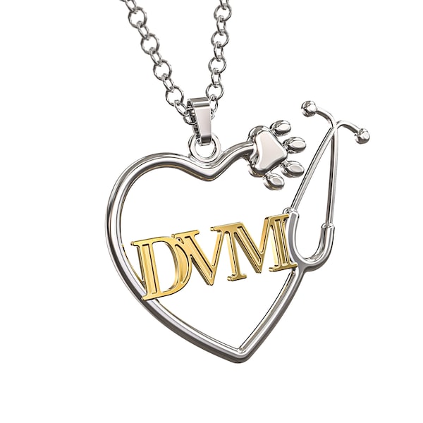 Vet Necklace - Veterinarian DVM Stethoscope Dog Paw Heart Pendant - DVM Gift - Silver and Gold