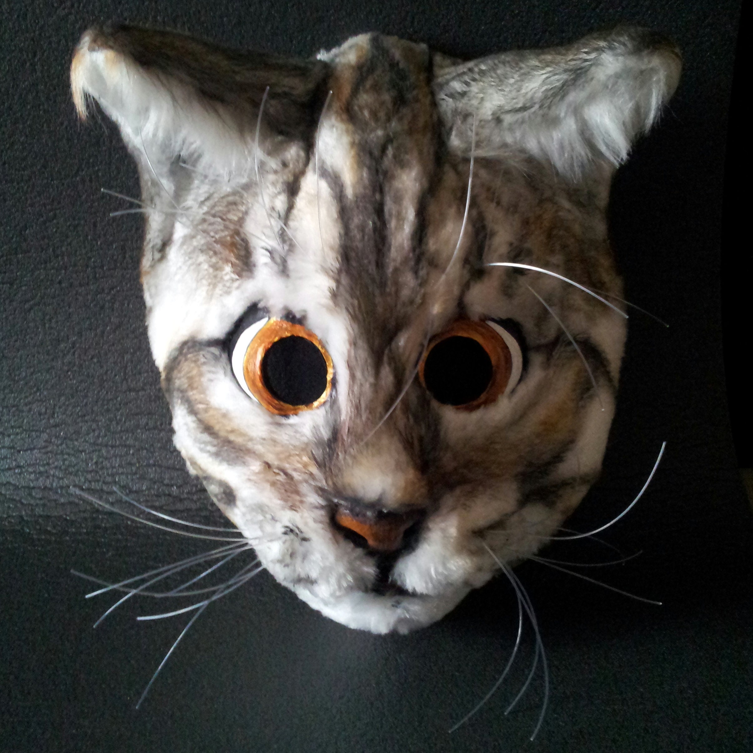 Mask Kitten Kitty Cat Realistic Furry costume animal Grey | Etsy