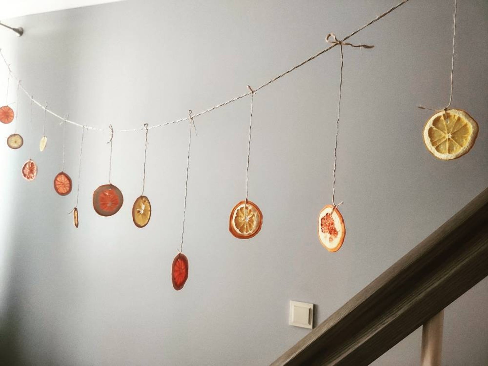 Dried Orangegraipfruit Garland Primitive Garland Dried Etsy