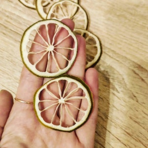 10 Esqueletos de rodajas de lima secas, rodajas de decoración