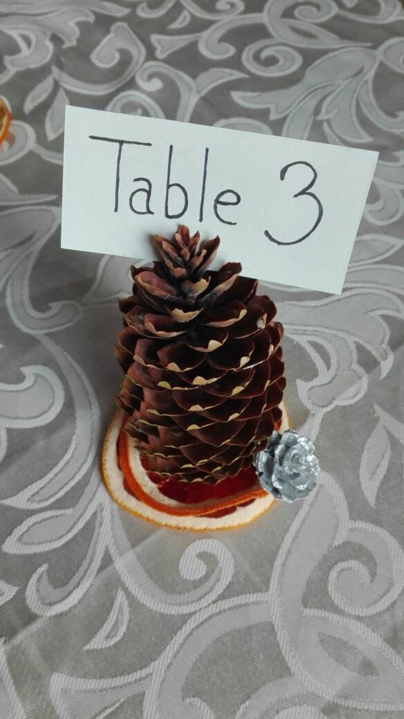 table card holder for weddings Big pine cone decoration citrus card holder table number holder