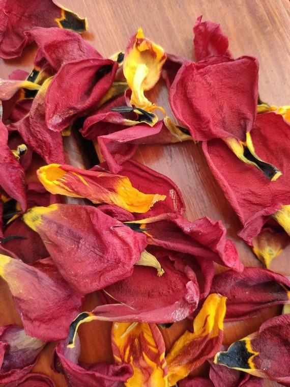 Dried Tulip Petals 50 Petals Etsy