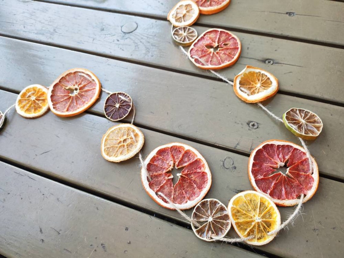 Citrus Garland Orange Grapefruit Lime Garland Etsy