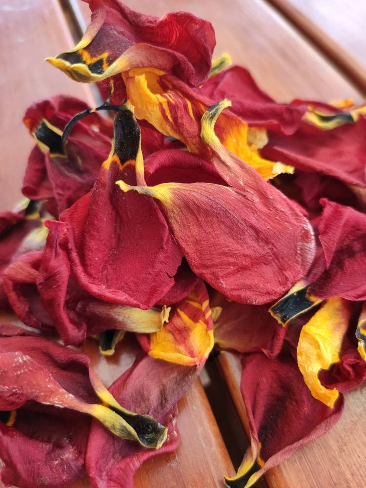 Dried tulip petals 50 petals Etsy