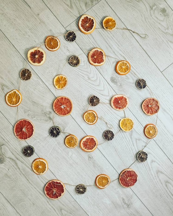 Citrus Garland Orange Grapefruit Lime Garland Etsy